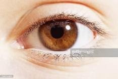 Resultado de imagen para brown eye