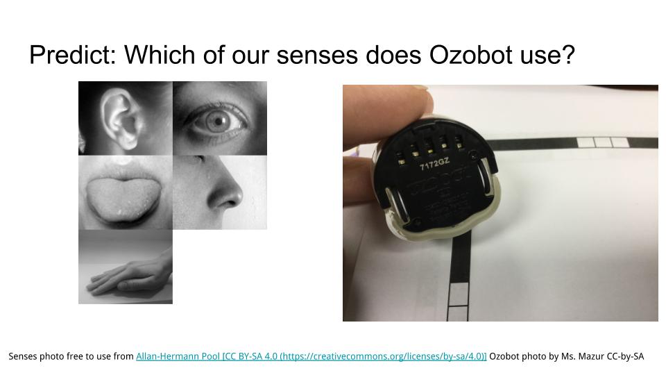 Make a predict about which of our 5 senses is probably what the Ozobot will use.