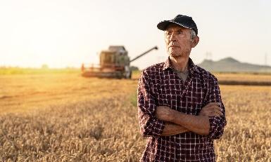 Farmer on wheat field